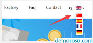 DM系统多语言网站建设
